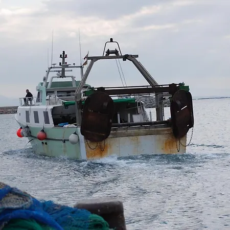 1172 Canyelles - Apivend Immo